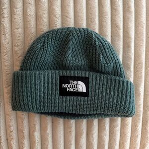 North Face Salty Lined Beanie